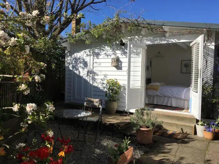 Garden Studio Cranbrook Kültér fotó